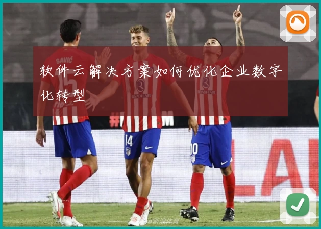 软件云解决方案如何优化企业数字化转型