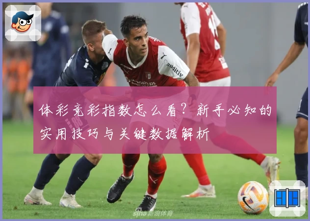体彩竞彩指数怎么看？新手必知的实用技巧与关键数据解析
