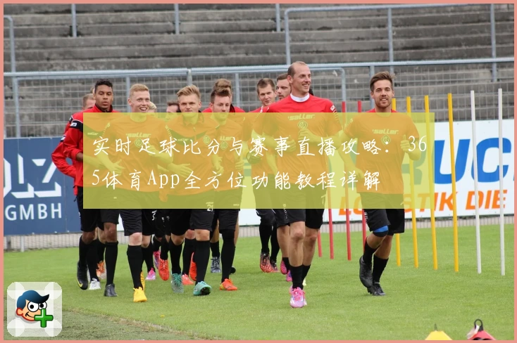 实时足球比分与赛事直播攻略：365体育App全方位功能教程详解