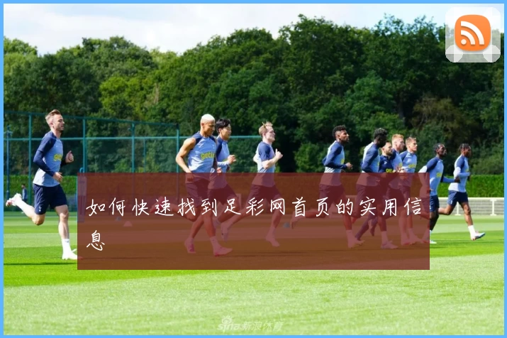 如何快速找到足彩网首页的实用信息