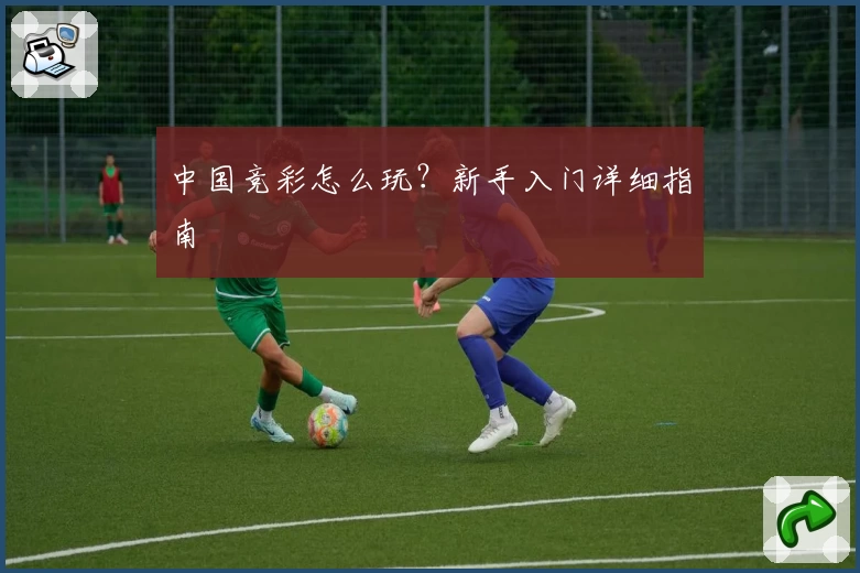 中国竞彩怎么玩？新手入门详细指南