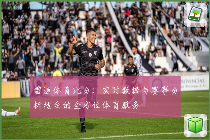 雷速体育比分：实时数据与赛事分析结合的全方位体育服务