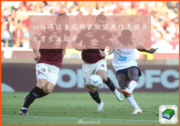 如何通过皇冠网获取实用信息提升日常生活效率