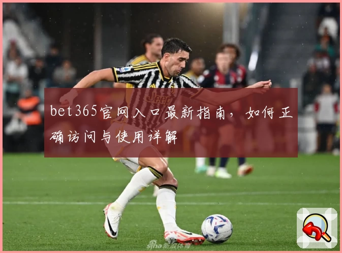 bet365官网入口最新指南，如何正确访问与使用详解