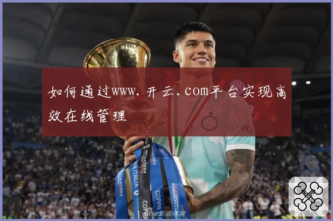 如何通过www.开云.com平台实现高效在线管理