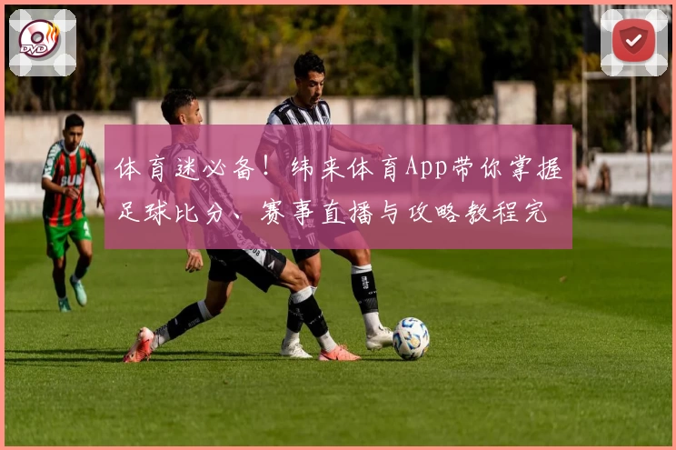 体育迷必备！纬来体育App带你掌握足球比分、赛事直播与攻略教程完整体验