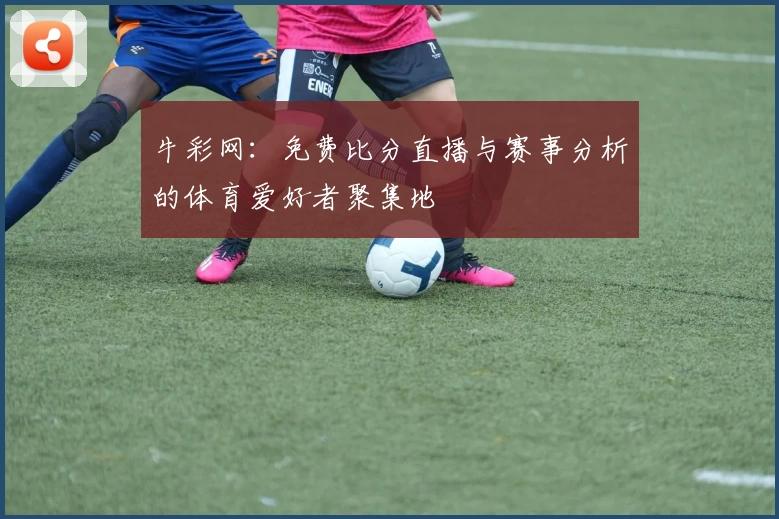 牛彩网：免费比分直播与赛事分析的体育爱好者聚集地