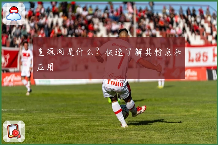 皇冠网是什么？快速了解其特点和应用