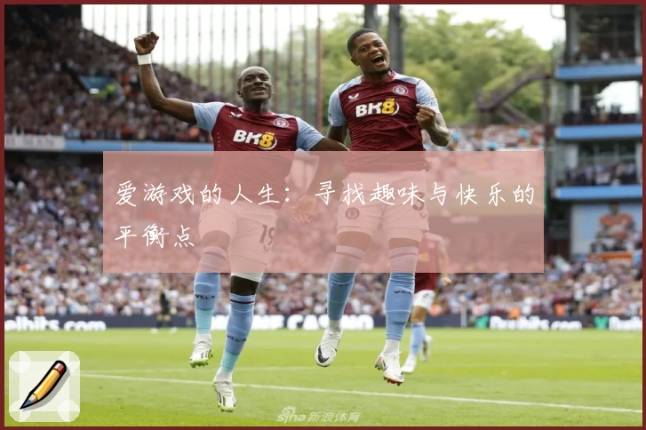 爱游戏的人生：寻找趣味与快乐的平衡点
