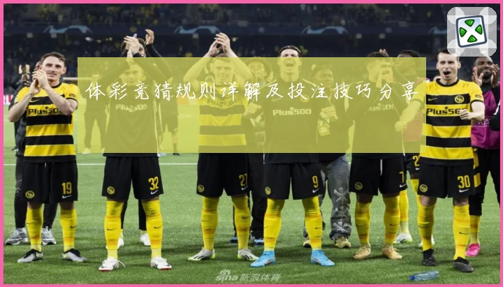体彩竞猜规则详解及投注技巧分享