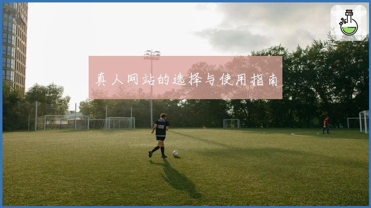 真人网站的选择与使用指南