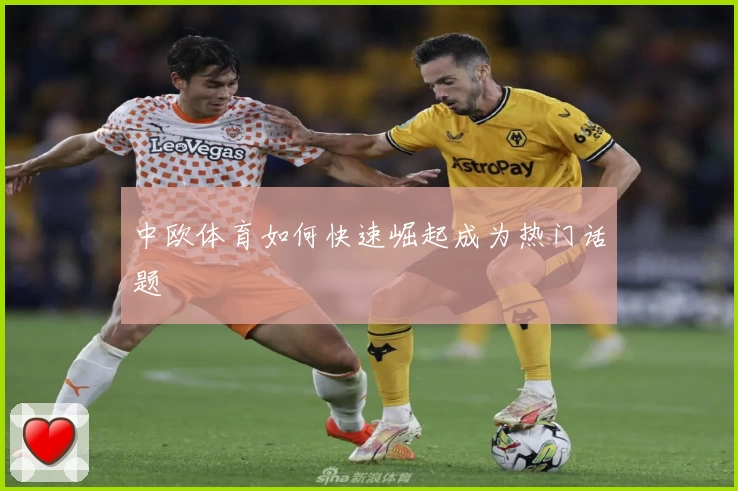 中欧体育如何快速崛起成为热门话题