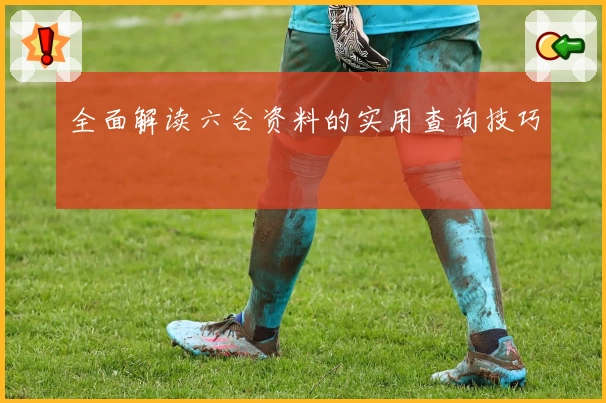 全面解读六合资料的实用查询技巧