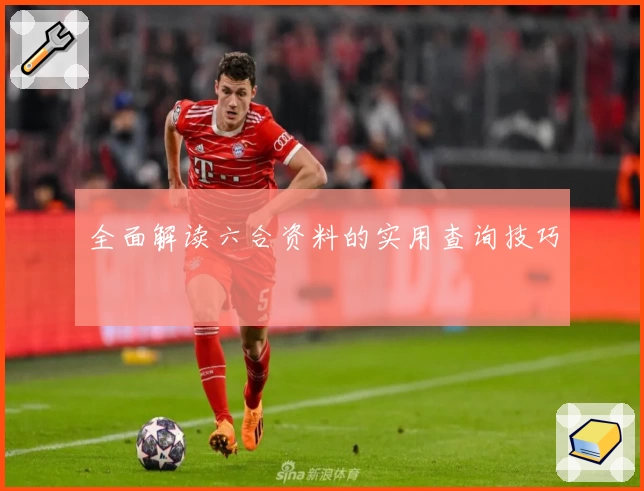 全面解读六合资料的实用查询技巧