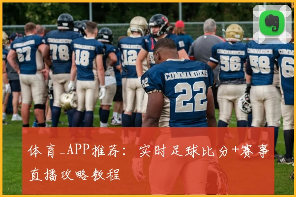 体育_APP推荐：实时足球比分+赛事直播攻略教程