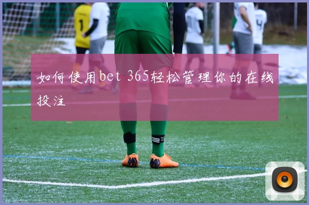 如何使用bet 365轻松管理你的在线投注