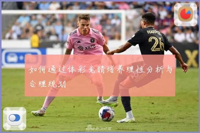 如何通过体彩竞猜培养理性分析与合理规划
