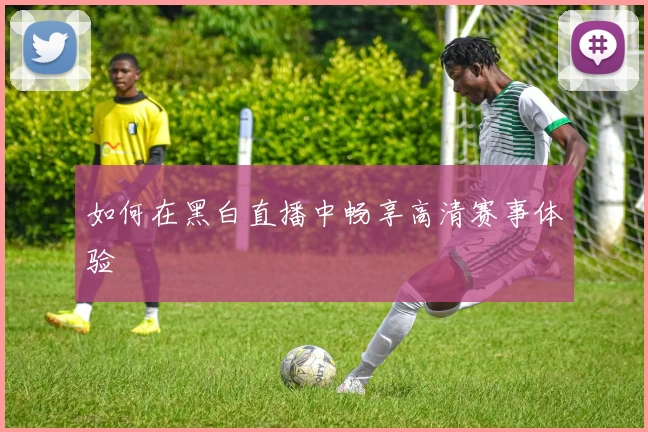 如何在黑白直播中畅享高清赛事体验