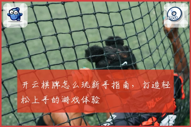 开云棋牌怎么玩新手指南,打造轻松上手的游戏体验