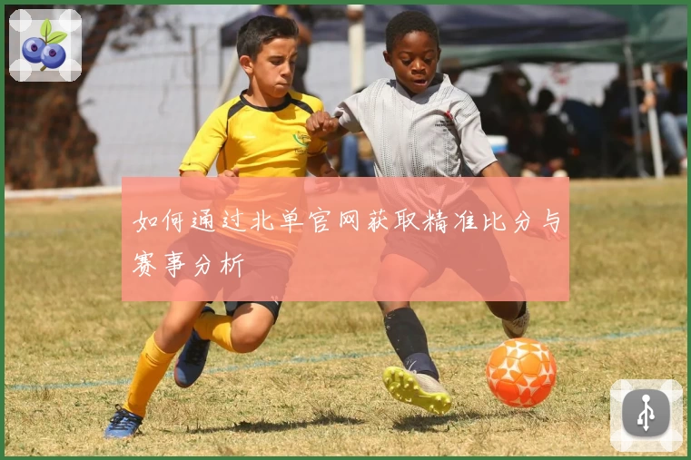 如何通过北单官网获取精准比分与赛事分析