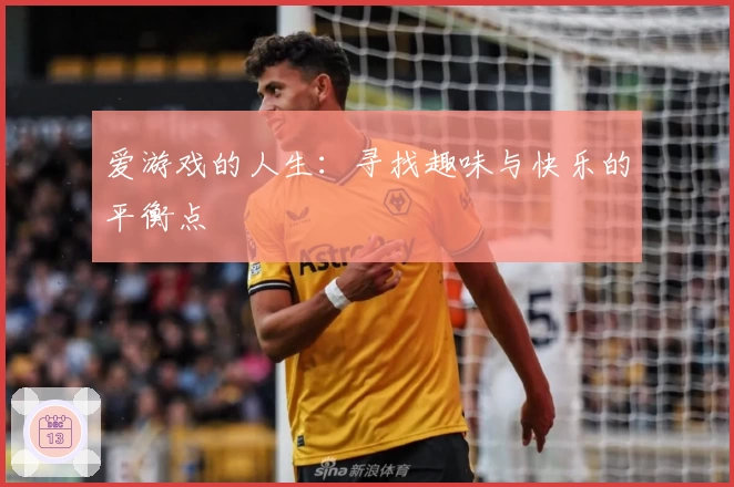 爱游戏的人生：寻找趣味与快乐的平衡点
