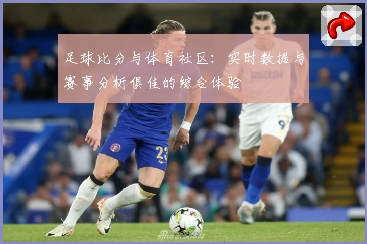 足球比分与体育社区：实时数据与赛事分析俱佳的综合体验