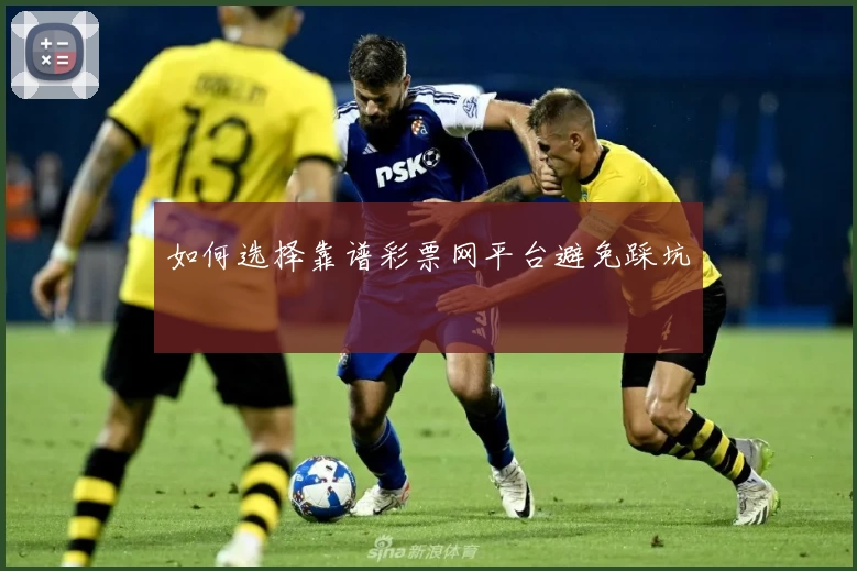 如何选择靠谱彩票网平台避免踩坑