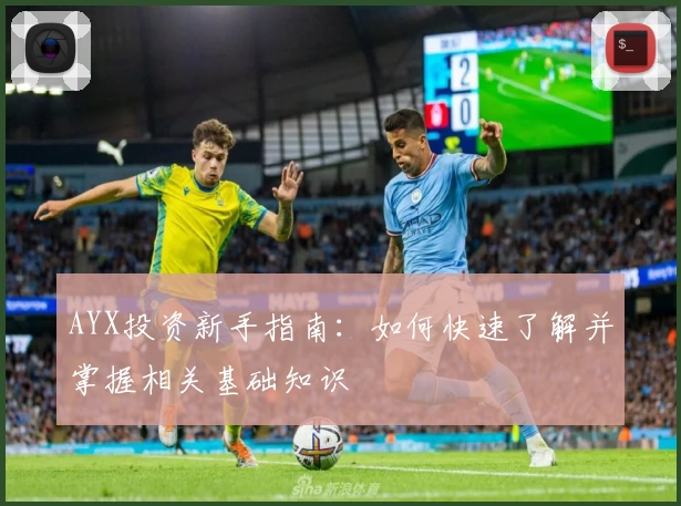 AYX投资新手指南：如何快速了解并掌握相关基础知识