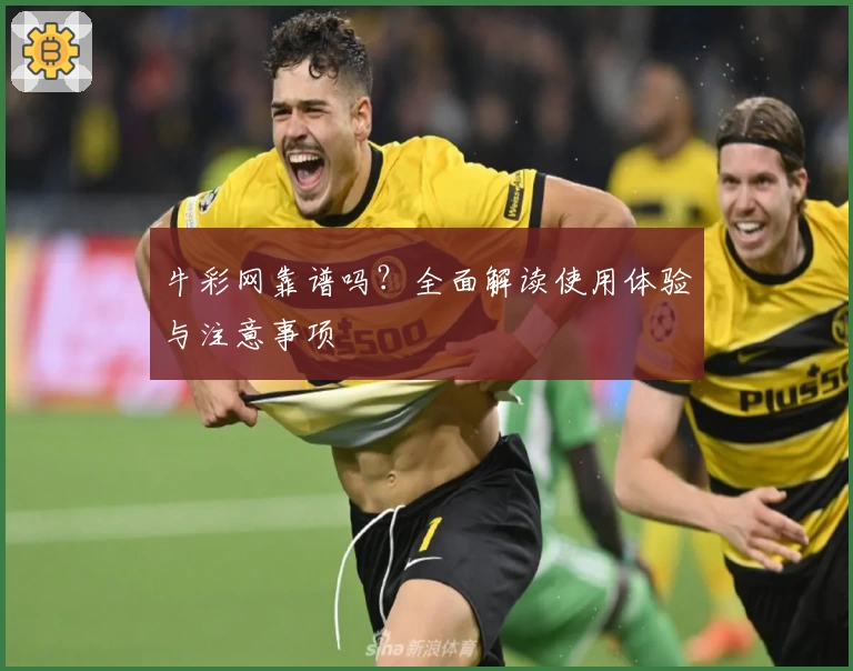 牛彩网靠谱吗？全面解读使用体验与注意事项