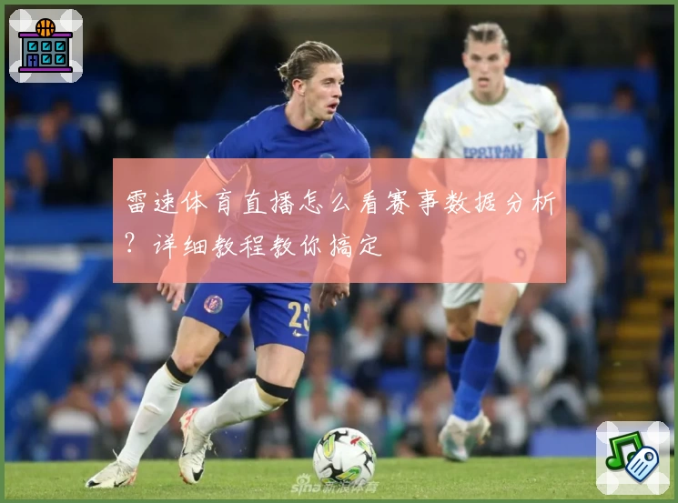 雷速体育直播怎么看赛事数据分析？详细教程教你搞定