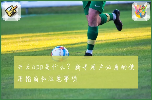 开云app是什么？新手用户必看的使用指南和注意事项