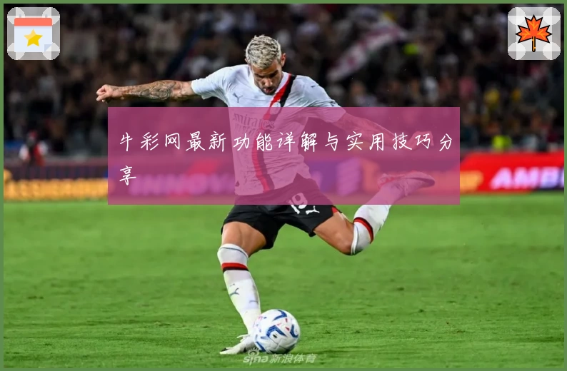 牛彩网最新功能详解与实用技巧分享