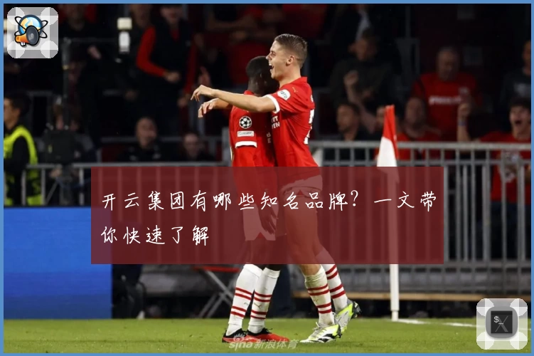 开云集团有哪些知名品牌?一文带你快速了解