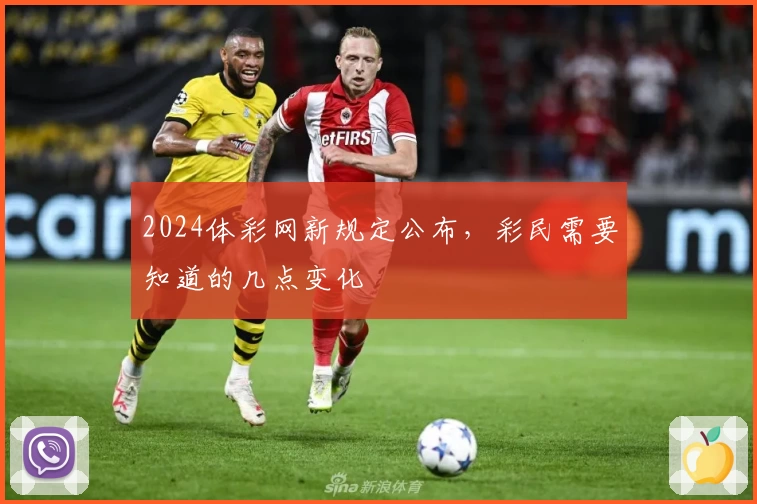 2024体彩网新规定公布，彩民需要知道的几点变化
