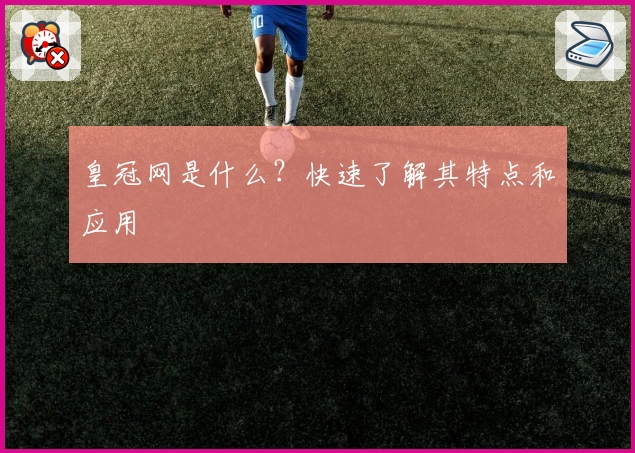 皇冠网是什么？快速了解其特点和应用
